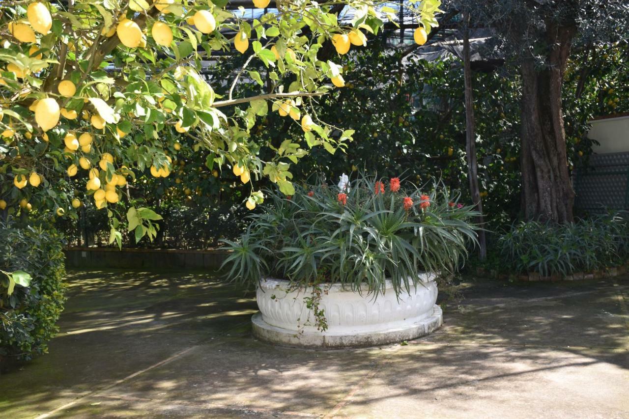 De Gregorio Apartman Massa Lubrense Kültér fotó